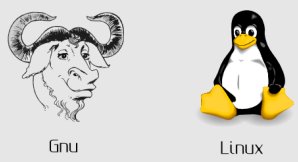 Linux: GNU/Linux: Depois dele o mundo no  mais o mesmo.