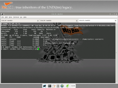 Usando o NetBSD como desktop