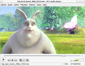 Linux: VLC Media Player
