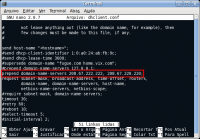 Linux: Linux - cliente dhcp com DNS personalizado