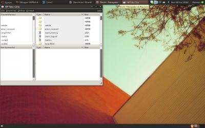 Linux: HPtalx- HP 50g no Ubuntu 8.10