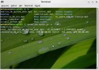 Linux: normalize-audio - ajustando a amplitude de seus mp3/ogg