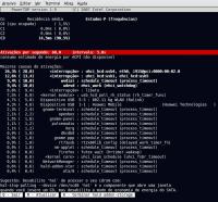 Linux: Powertop - detectando o 'ladro' de energia em seu linux