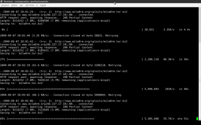 Linux: Backtrack 4 - Atualizando pasta de exploits atravs do site milw0rm.