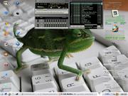 KDE Kubuntu 7.04 + Beep-Media-Pl...