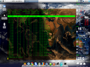 Xfce Slackware13+XFCE+AWN+Conky+Xplanet+Eterm