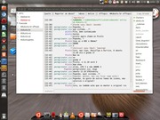 Gnome ubuntu 11.04 com o unity funcionando