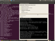 Gnome Atualizao do Ubuntu 10.04 ...