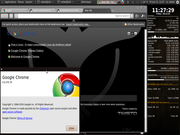 Gnome Ubuntu 10.4 + Google Chrome ...