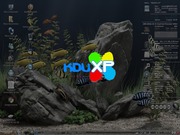 Gnome KDuXPv1.97-DesktopApresentacao