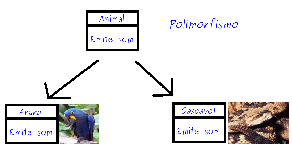 POO: Principal conceito de Polimorfismo