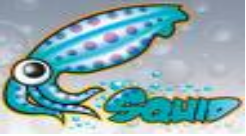 Linux: Proxy Squid com Autenticao + Sarg + Webmin