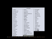 Ubuntu Linux: seleo de idiomas