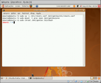 Linux: Instalando o Gentoo Linux atravs do live-cd do Ubuntu 