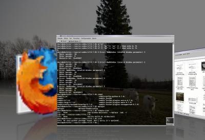 Linux: Compiz Fusion: Alternncia entre as janelas (Alt + Tab)