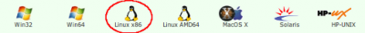 Linux: Instalando e Configurando Facilmente o Firebird 2.1 no Linux 