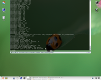 Linux: 3 terminais estilo Quake