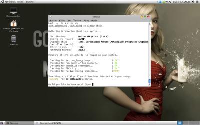 Linux: Rodando Compiz-fusion no Debina Lenny com vídeo Intel GM965/GL960.