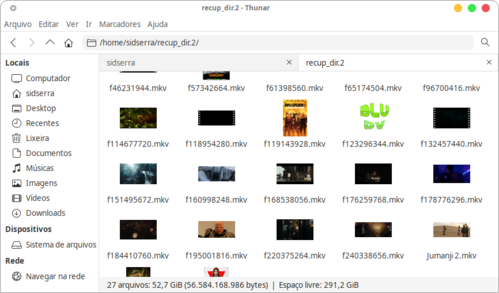 Linux: Recuperando arquivos com o Photorec de discos zoados