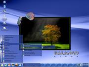  A força do KALANGO.