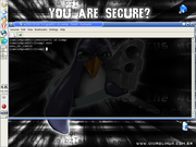 KDE are you secure ????