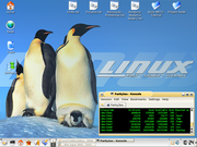  Slackware 10.0 + KDE