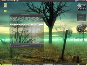 Gnome Ubuntu 9.04 com tema Linux Mint