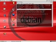  Debian CCD