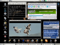 Gnome Slackware 10.1