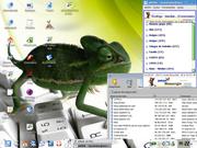  Slack 10.2 em Amd6...