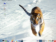  Fedora Core "Tiger"