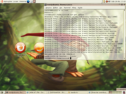 Gnome Primeira hora com ubuntu