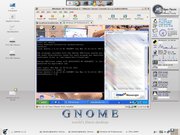 Gnome Screenshot Silver