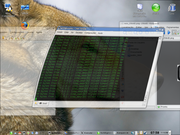 KDE Suse KDE XGL Compiz