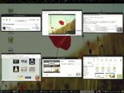 Gnome OpenSuSe 11 Linux everywhere