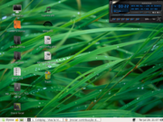 Gnome Linux Mint 5