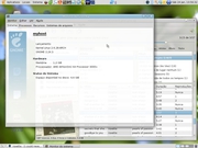 Gnome Arch Linux + GNOME 2.24.3 + murrine + rgba suport