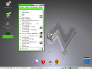 Gnome OPENSUSE 11.1 