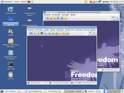 Gnome Fedora 11 - usando Freedom-Erp