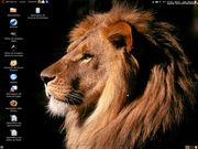 Gnome Lion on desktop