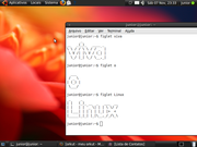 Gnome Ubuntu 9.04 + Figlet