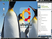Gnome Ubuntu 9.10 + Gnome + aMSN