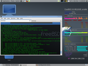 Gnome FreeBSD + conky + ports