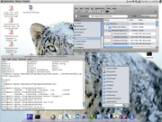  Ubuntu Snow Leopard