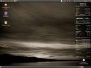 Gnome Ubuntu 10.04 + Conky