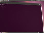 Gnome Ubuntu 10.04 + Compiz