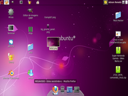 Gnome Ubuntu 10.04 (2)