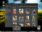 Gnome linux mint 9