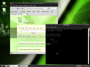 LXDE Linux Mint via Live-USB