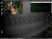 Xfce FreeBSD 8.1